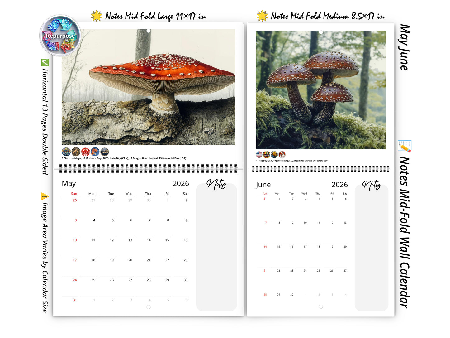 2026 Wild Mushrooms Wall Calendar by Kaleidoscope Artisan – Woodland Wonders with Holidays