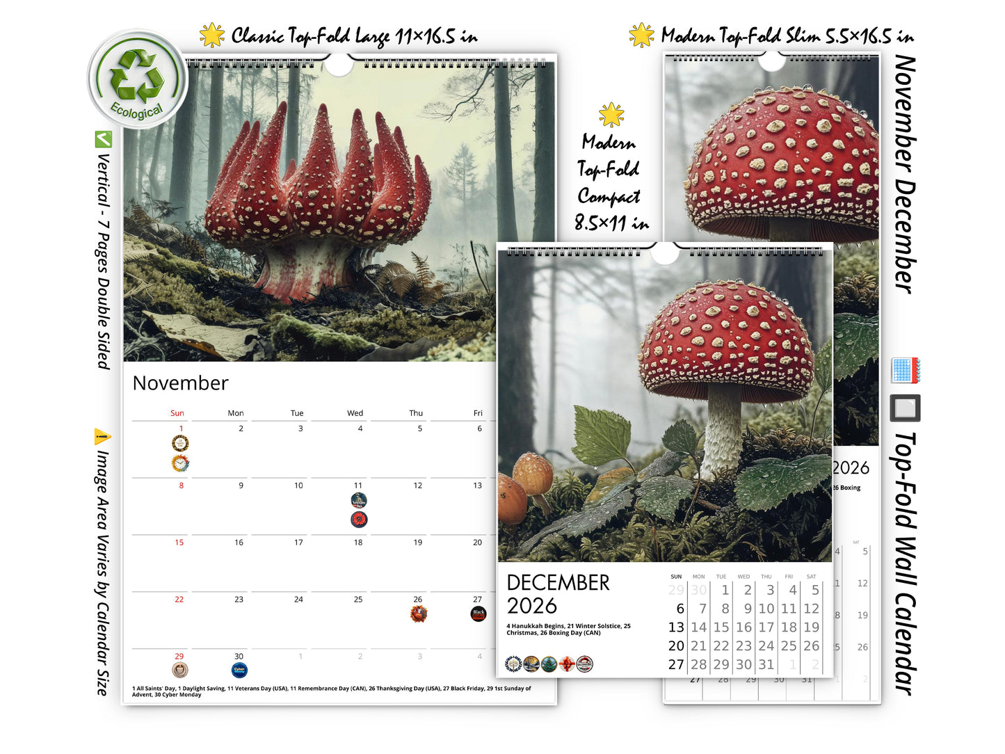 2026 Wild Mushrooms Wall Calendar by Kaleidoscope Artisan – Woodland Wonders with Holidays