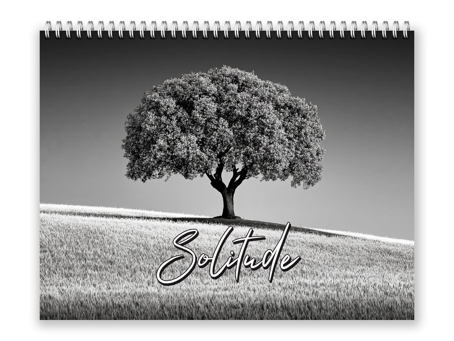 2027 Solitude Wall Calendar by Kaleidoscope Artisan – Peaceful Paths with Holidays
