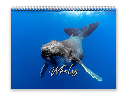 Whales Photography 2027 wall calendar front cover wall calendar mockup