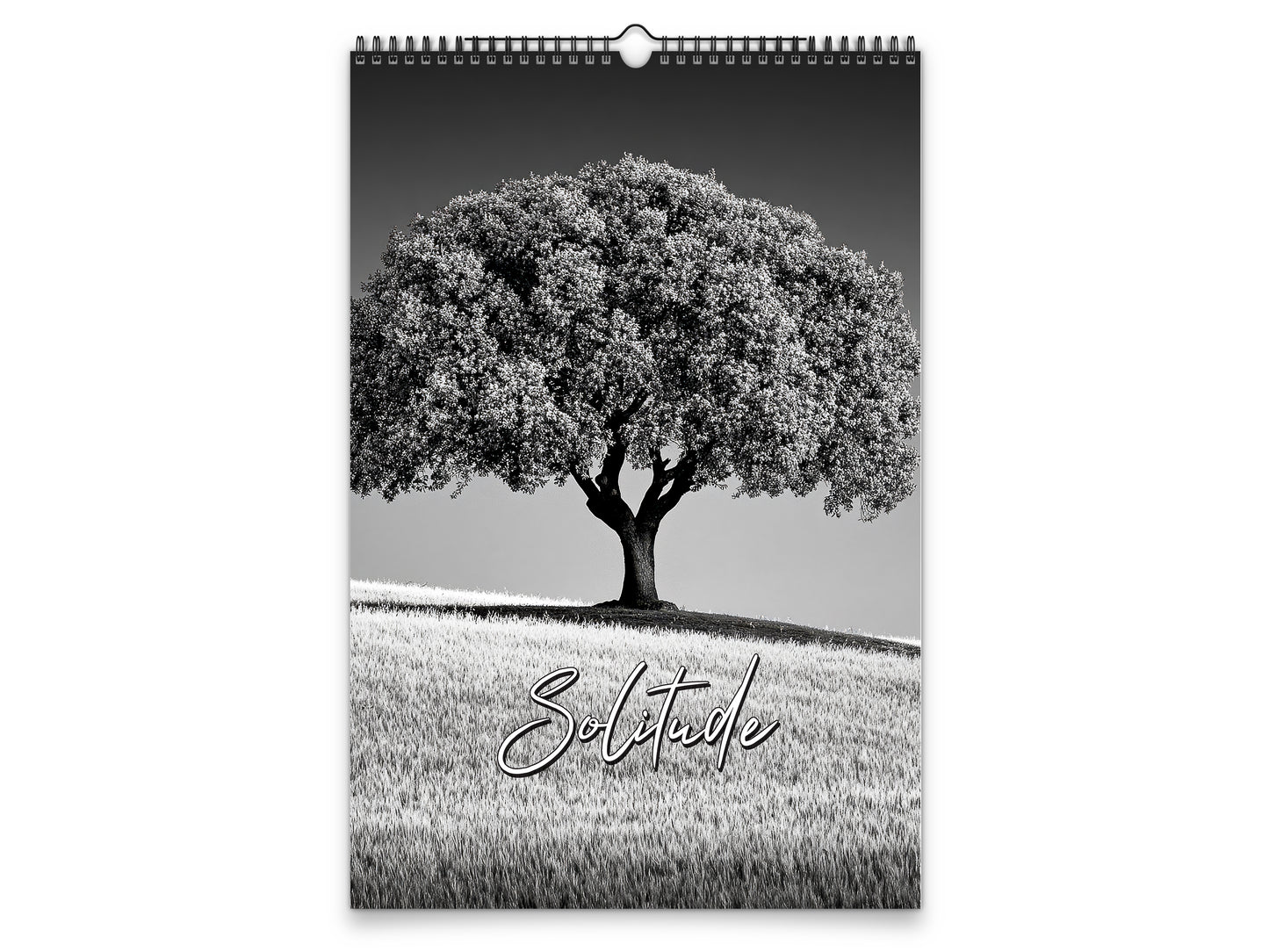 2027 Solitude Wall Calendar by Kaleidoscope Artisan – Peaceful Paths with Holidays