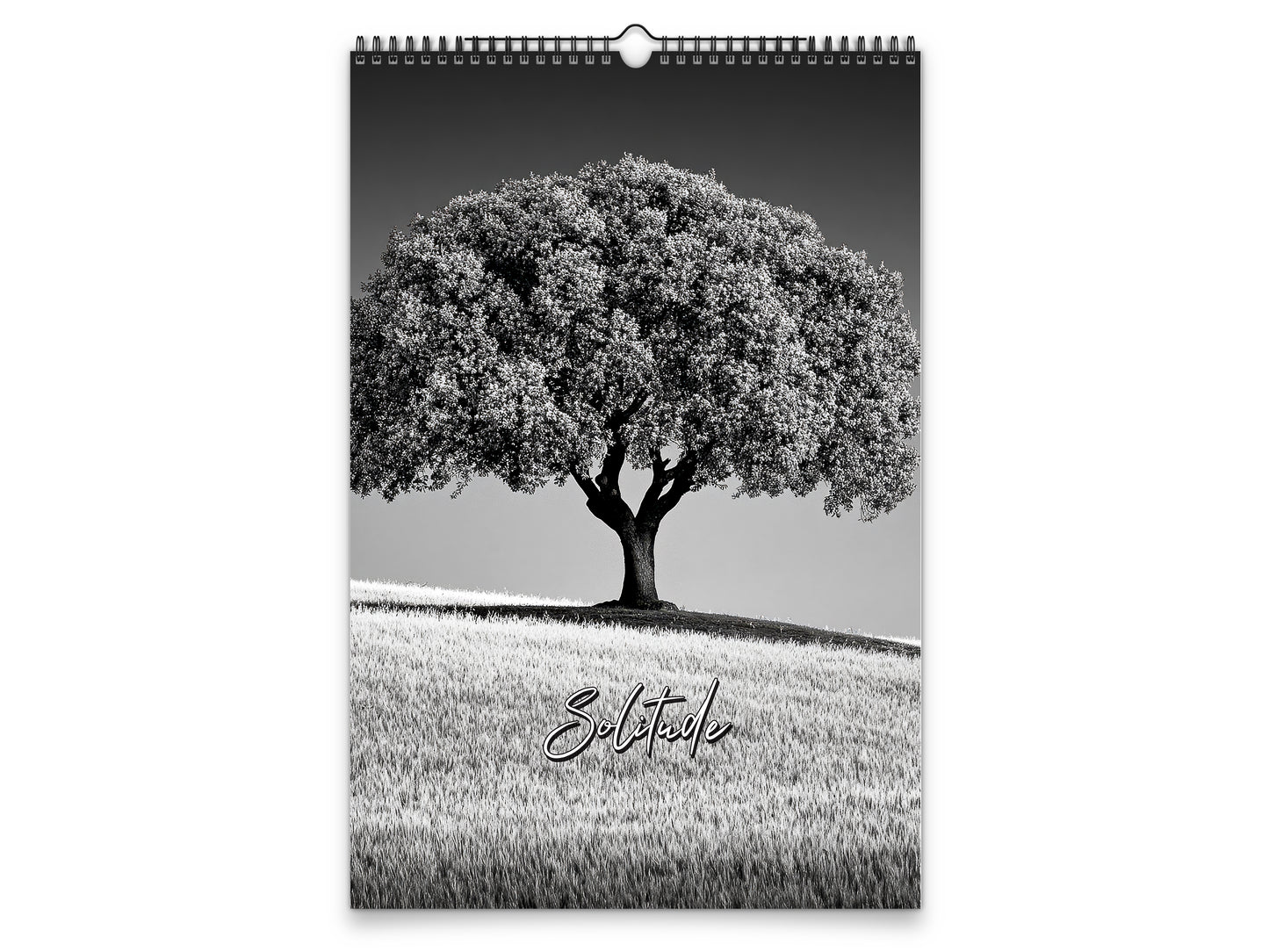Calendario de pared Solitude 2027 de Kaleidoscope Artisan – Senderos pacíficos con días festivos