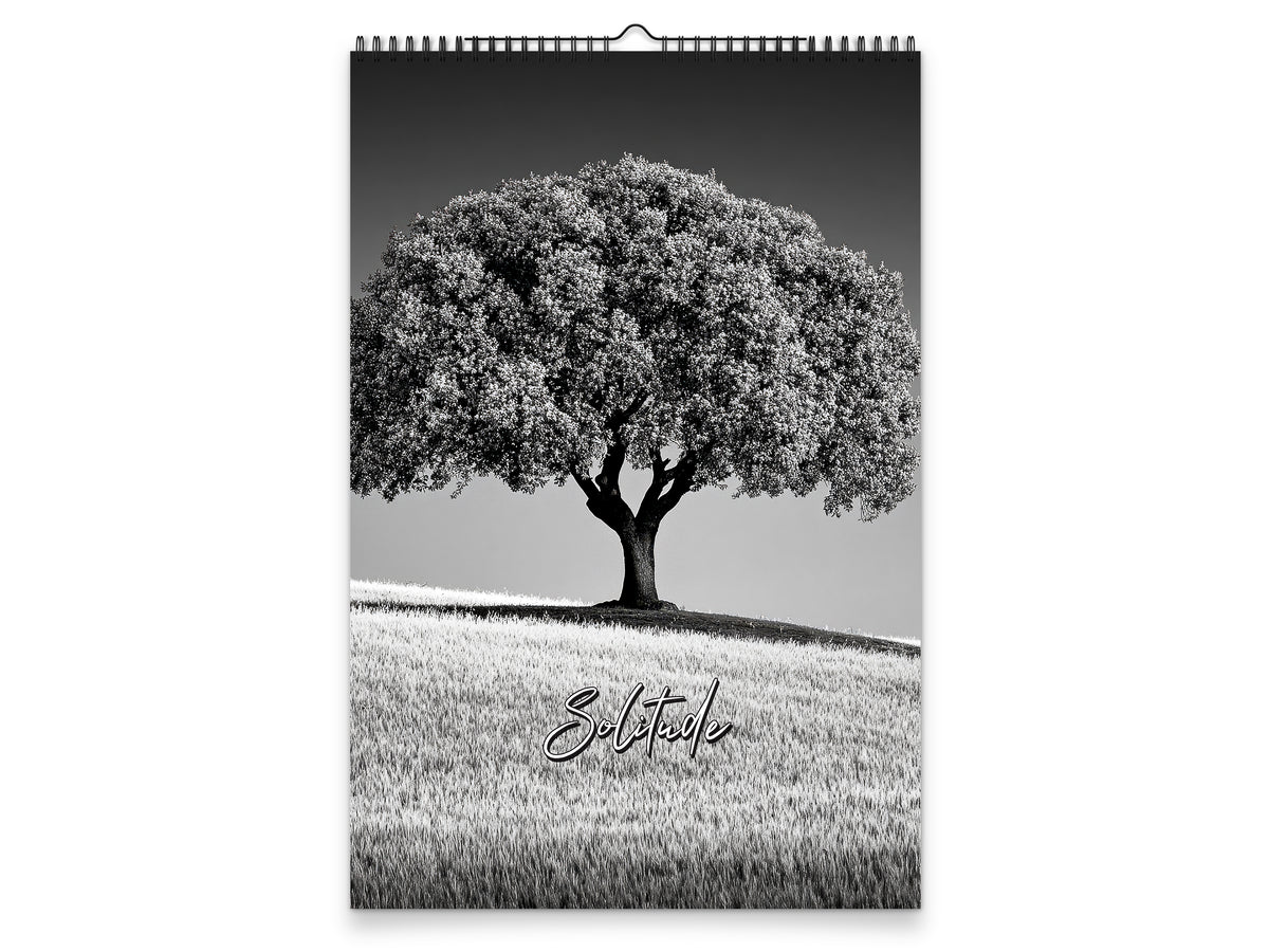 Solitude 2027 wall calendar portrait cover view