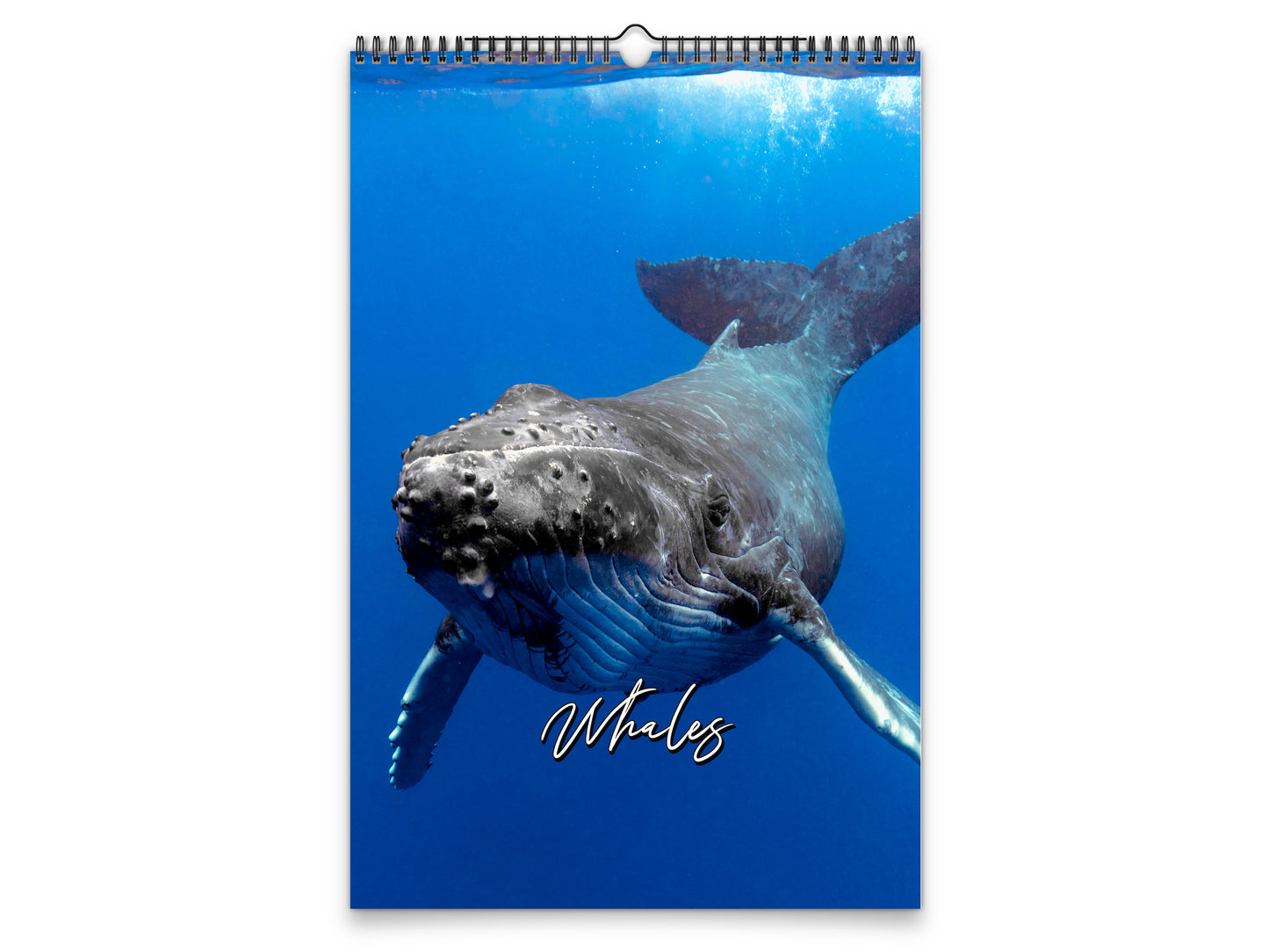 Whales Photography 2027 wall calendar portrait cover view