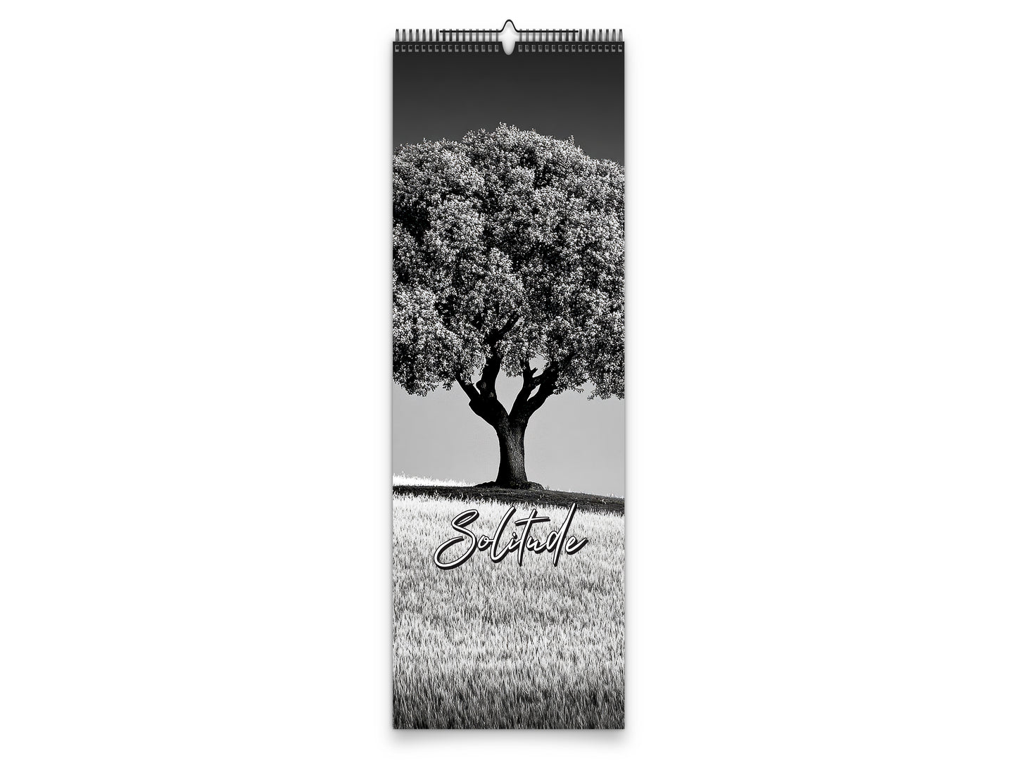 2027 Solitude Wall Calendar by Kaleidoscope Artisan – Peaceful Paths with Holidays