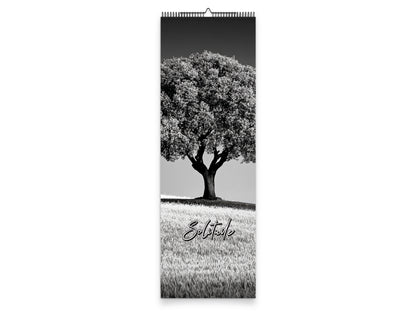 Solitude 2027 wall calendar slim calendar cover view