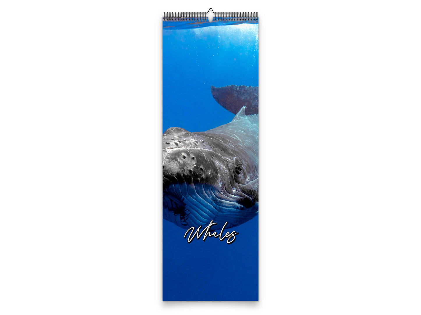 Whales Photography 2027 wall calendar slim calendar cover view