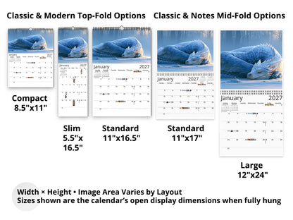 Dragon 2027 wall calendar layout and size options