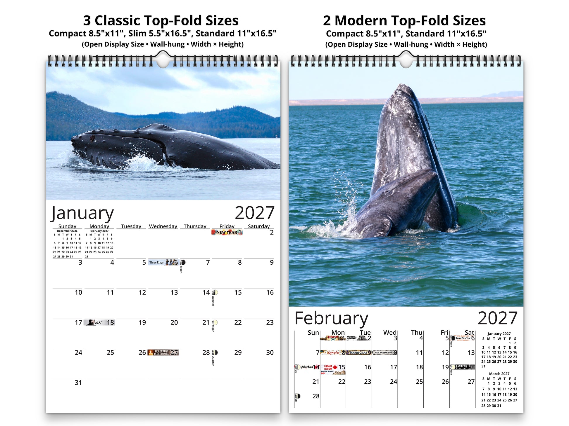 Whales Photography 2027 wall calendar classic and notes mid-fold calendar pages