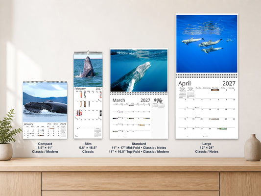 Whales Photography 2027 wall calendar complete size range environment display