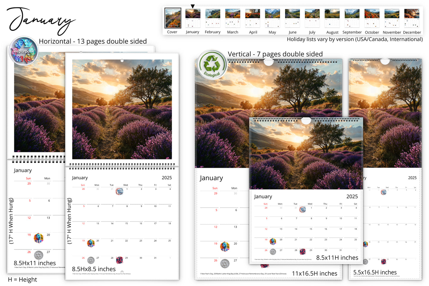 January calendar page showing a lavender field at sunset, available in different sizes with eco-friendly design and holiday highlights.