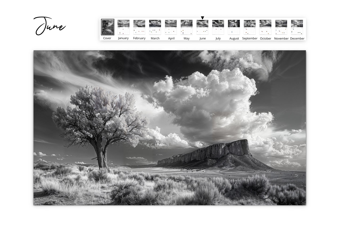 June calendar image featuring a solitary tree in a vast desert landscape with dramatic cloud formations above.