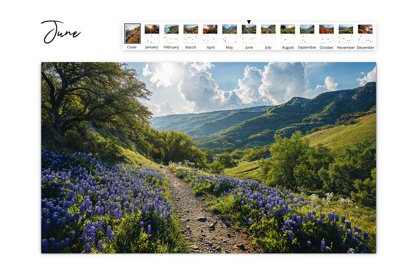 June calendar page featuring a serene mountain trail lined with bluebonnet flowers under a bright, cloudy sky.