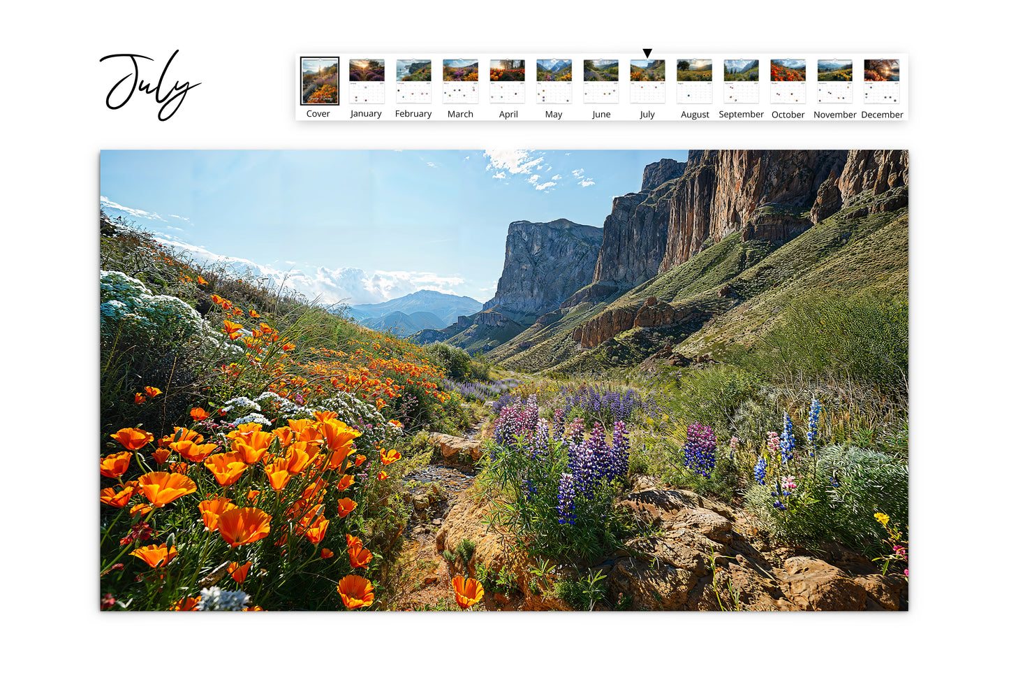 July calendar page showing a vivid field of orange poppies and purple wildflowers with towering cliffs in the background.