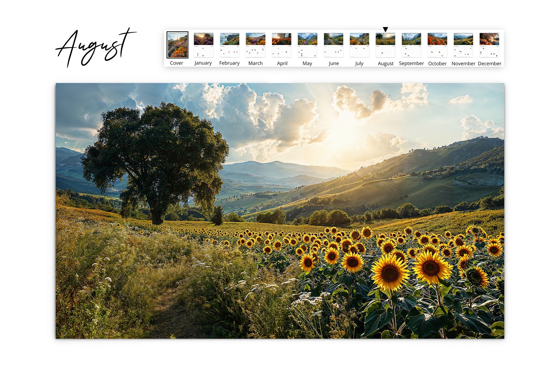 August calendar page capturing a glowing field of sunflowers against a mountainous landscape under a sunlit sky.